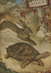 short story about a tortoise and hare